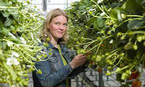 Jantineke Hofland-Zijlstra